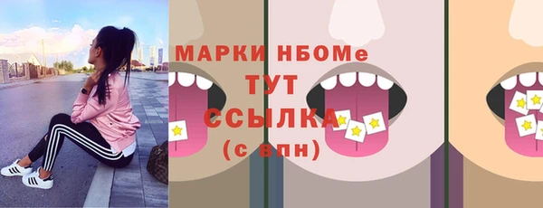 мдпв Надым