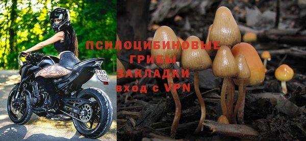 мдпв Надым