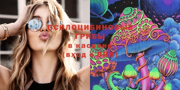 мдпв Надым