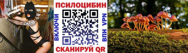 сайты даркнета наркотические препараты Северобайкальск Псилоцибиновые грибы ЛСД наркота