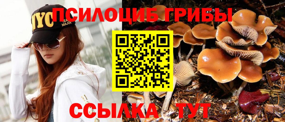 Галлюциногенные грибы прущие грибы  Вход с VPN  Северобайкальск 