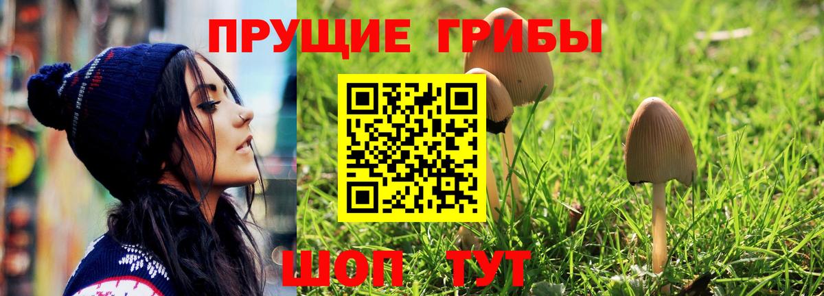 Псилоцибиновые грибы ЛСД Северобайкальск